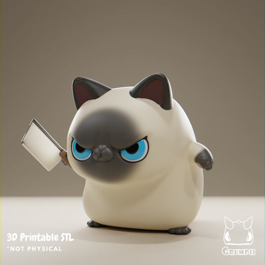 Grumpii 3D Printable Art Toy File - Grumpii Cat